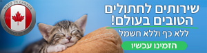 


פרסומת

